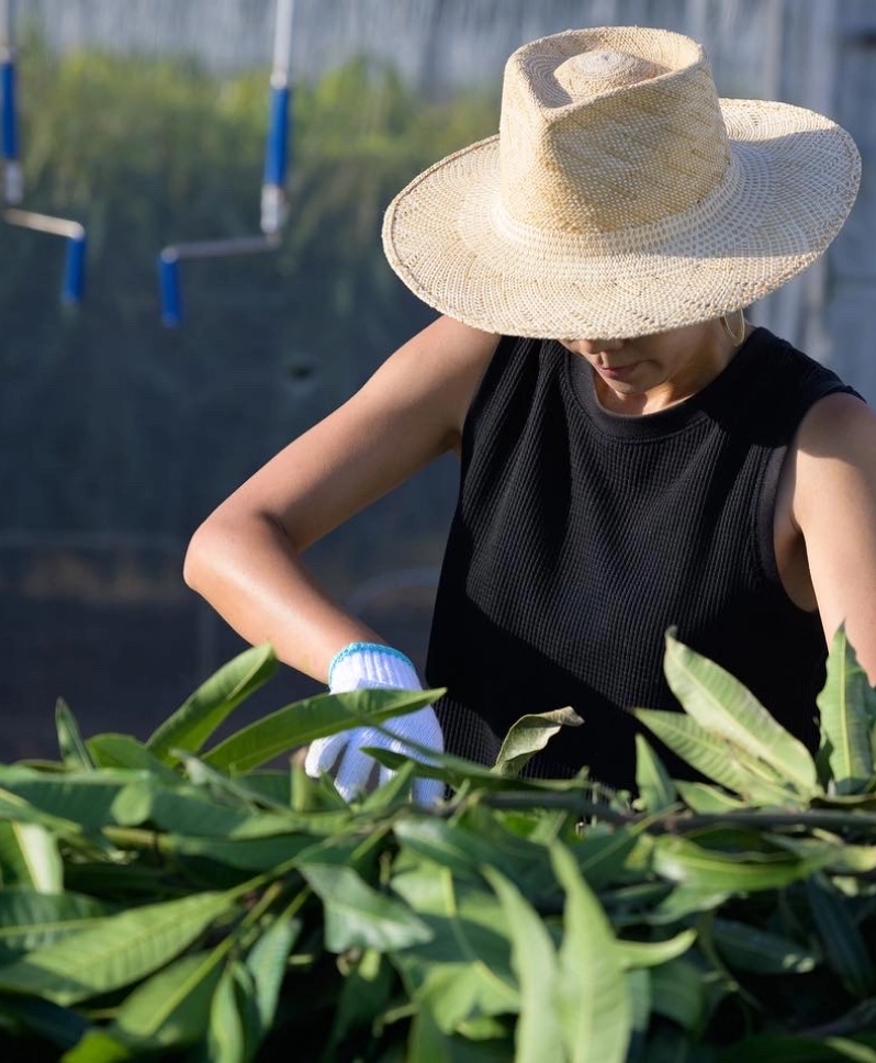 体験プログラム
